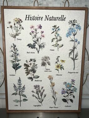 Histoire Naturelle wood Frame Botanical Art Print Floral plant Cavallini flowers